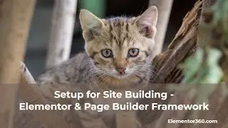 Setup for Site Building – Elementor & Page Builder Framework