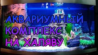 АКВАРИУМИСТ ИЩЕТ НА АВИТО ГОДНОТУ 