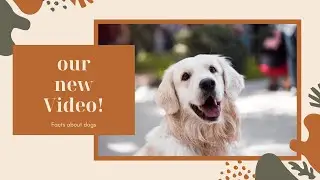 15 Amazing facts about dogs | Unique Videos