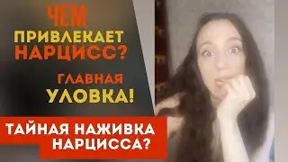 Что привлекает в нарциссе? Наживка нарцисса!