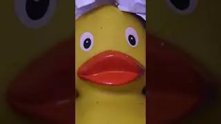 prison break: toy edition