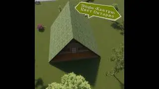 Шинглас Кантри выбор цвета #shorts