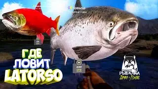 Русская рыбалка 4.🎣🦈 р. Яма 🐬🐟💦 ГДЕ ЛОВИТ LATORSO 👀