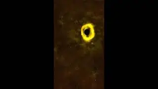 Black Hole Destroys Star for Being too Close