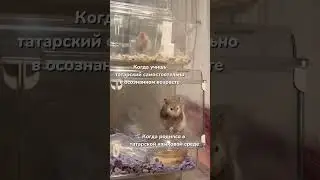 Когда учишь татарский...