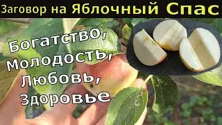 19 Августа Заговор на Яблочный Спас на богатство, молодость, любовь, здоровье