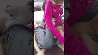 Oyen Si Tukang Tidur