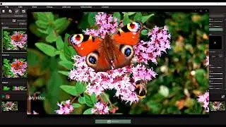 Sharpen Video - Functions