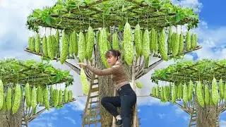 Harvesting Bitter Melon Goes To Market Sell - Buy Pork Leg To Cook | New Free Bushcraft