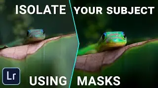 Using Masks in Lightroom for Beginners: Isolate the Subject