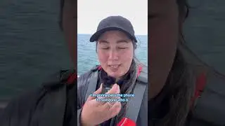Pass the phone at sea with @MontereyBayAquarium