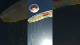 Wild ride: paragliding experiment at extreme altitude