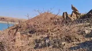 12 октября 2024 г.