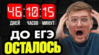 Что делать за 1.5 Месяцев до ЕГЭ?? План подготовки на 80, 90, 100 баллов!
