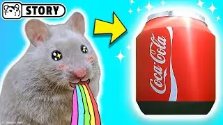 Hamster in the Coca Cola maze 🐹 Homura Ham