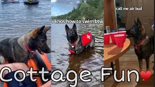 Cottaging With My German Shepherd