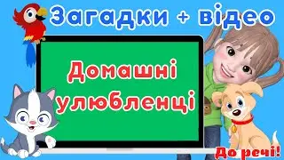 Домашні улюбленці/Загадки + відео про тварин🐶