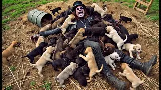 When Ozzy's Dogs Take Over | A Peek Inside Osbourne’s Pet Life