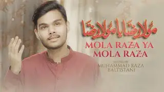 MOLA IMAM RAZA NEW MANQABAT || MOULA RAZA YA MOLA REZA || MOHAMMAD RAZA BALTISTANI || 11 ZILQAD 2023