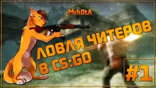 ЛОВЛЯ ЧИТЕРОВ В CS:GO #1 - ПИЛОТНЫЙ! 60fps+ᴴᴰ