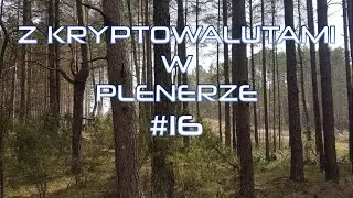 Koncerny wchodzą w kryptowaluty, edukacja, społeczność, gdzie realizować zyski z kryptowalut?