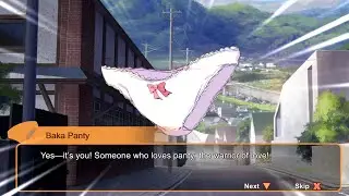 FLIGHT OF THE PANTIES