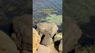 Кому актуально?Нудисты уже открыли сезон 🏖️2025 Одесса 07.03.2025