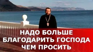 Надо больше благодарить Господа, чем просить. Священник Игорь Сильченков