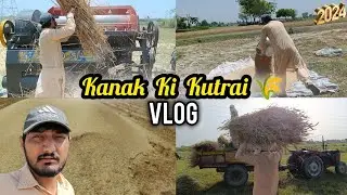 Wheat 🌾 Harvesting in Punjab (Pakistan) 2024❤️ #4 Vlog