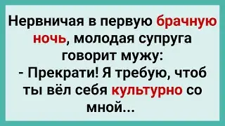 Культурное Поведение в Первую Брачную Ночь! Сборник Супер Свежих Смешных Анекдотов! Юмор и Смех!