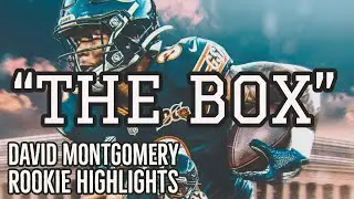 David Montgomery ROOKIE SEASON HIGHLIGHTS ᴴᴰ || 