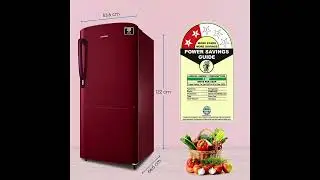 Samsung 183L Digital Inverter Single Door Refrigerator RR20C2412RH/NL Review: Stylish & Efficient!
