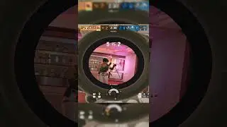 Is Ash Acog Back?