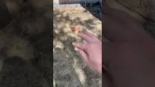 Как сделать стильный фасад