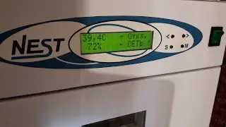 22.06.ЧТО БУДЕТ?яйца в инкубаторе 2 раза переохладили. NEST- только для профессионалов, каков вывод?
