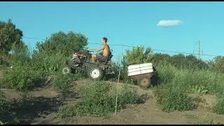 Трактор возик земля.