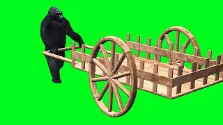 Gorilla Green Screen Animation (HD) |Green Screen Animals | Free Use (2021)