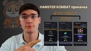 Hamster Kombat прокачка 2024 guide