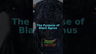 Discover the Black Agnus crypto 
