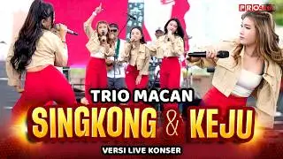 SINGKONG DAN KEJU - Trio Macan | Live Konser Putih Abu Abu (Official Music Video)