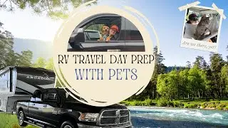 How We Prepped Our Truck for Comfy Travel with Pets