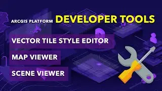 ArcGIS developer tools