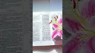 Уста праведных источают мудрость💎Притчи 