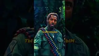Заблудились в джунглях 