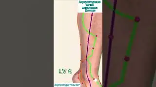 Акупунктурные точки меридиана Печени 
