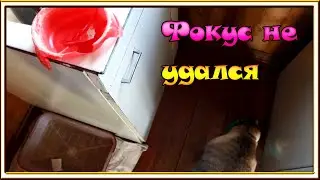 ВЛОГ: Он меня удивил