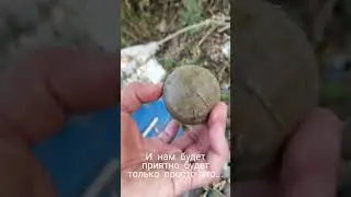 Всем привет из зоны проведения 