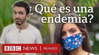 Qué es una endemia, en qué se diferencia de la pandemia y cómo el covid puede llegar a esta etapa