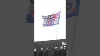🥸「音楽と髭達2024」Highlight Movie🥸#NiziU #ニジュー #니쥬 #WithU#音髭 #音楽と髭達 #音楽と髭達2024#NiziU_SummerFestival