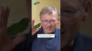 Йога — это прежде всего баланс в душе